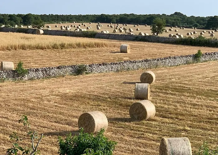 Masseria Chianca 
